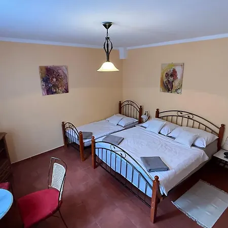 Albatros Guest house *